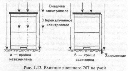 Для более надежной защиты стационарной пасеки от внешних ЭП Ю.К. Барбарович (1993)