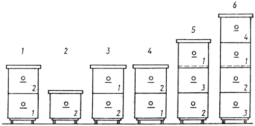 Примерная схема перемещения корпусов при многокорпусном содержании пчел: 1– в