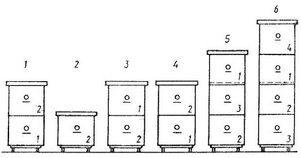 содержании пчел: 1– в конце осени и зимой; 2 – после зимовки в марте и апреле; 3