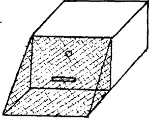 В зависимости от степени поражения пчелам оказывается помощь одним из нижеописанных