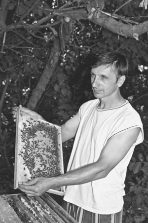 Пчеловод Незнамов Иван Иванович с рамкой с запечатанным росплодом